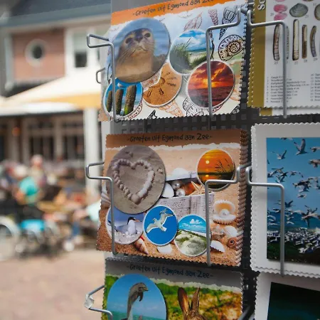 Luxury In Egmond Aan Den Hoef With Garden Wimmenum